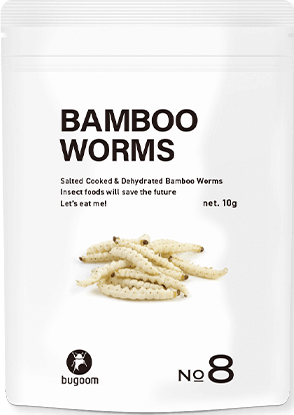 BAMBOO WORMS【No.8】